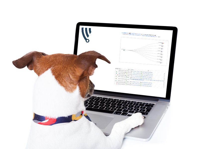 dog_computer